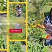 Jardín Del Alma