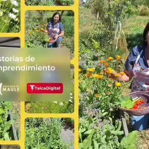 Jardín del Alma