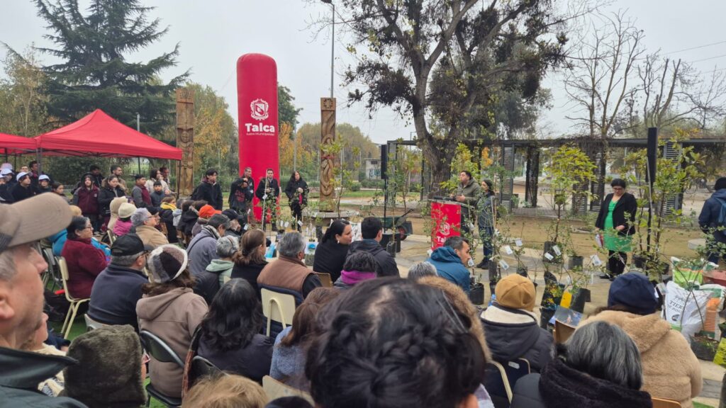Talca Día Mundial del Medio Ambiente: Celebración con Reforestación en Parque Piduco