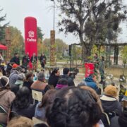 Talca Día Mundial Del Medio Ambiente