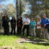 Reforestación Bosque Municipal Talca: 7500 árboles nativos revitalizan el pulmón verde