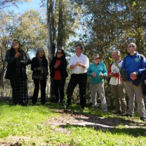 Reforestación Bosque Municipal Talca: 7500 árboles nativos revitalizan el pulmón verde